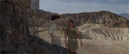 Zabriskie Point Redacted 27' 2013